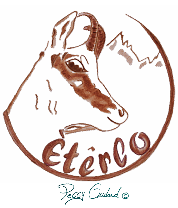 logo6